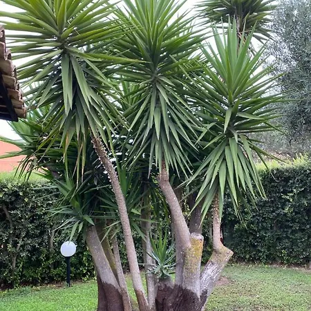 A Yucca Vakantiehuis *
