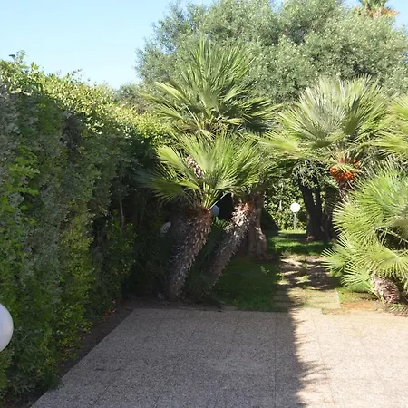 A Yucca Marsala